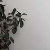 我没有姓名