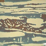 lysis