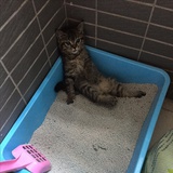 小卧底