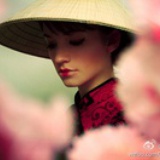 鹦鹉春深