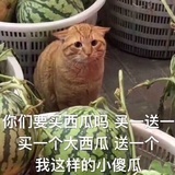 金元宝