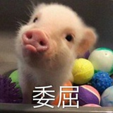 你的招财