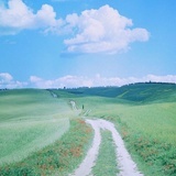 笑傲江湖
