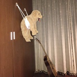 八月照相馆