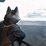 贰狼