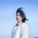 藜城以北