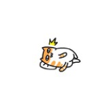 薛定谔的猫