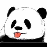 吃萝卜的肥兔子