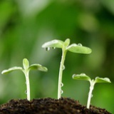 深圳老梁