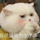 文可角半岛