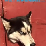 XXXXXXX