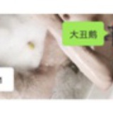 二狗子