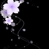 春风