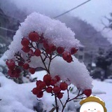 李米亚