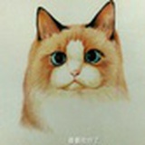 LL