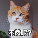 我不是江湖骗子