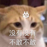 绝望的小猫年