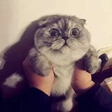君不知