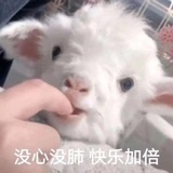 是小太阳呀