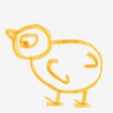 小鸡