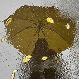 对冰箱许个愿