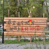 神秘嘉宾