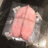 好的