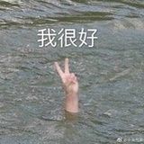 想做镜子骑士