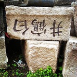 青蘿