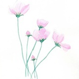 花花啊