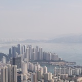江南飞鸿