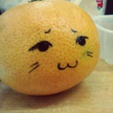 _stellashin