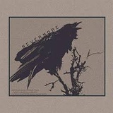 raven