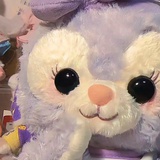 小Q