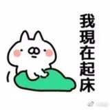 村里的麻瓜