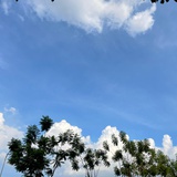 陌上花开