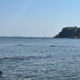 谢小白