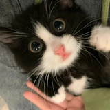 秋愁