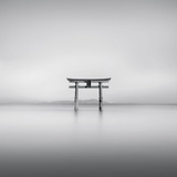 鸩鸩洲
