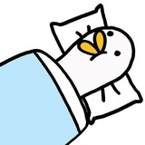 躺鸭。