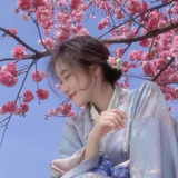 硬核芒果🥭
