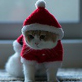 Capt_Lu