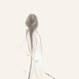 式微