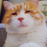 玟客