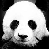 一个人在煎蛋