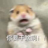山孤