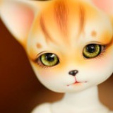 懒猫