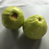 暖阳烘晒晕晕