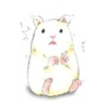 少年抱着的是猫