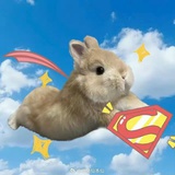 宴安